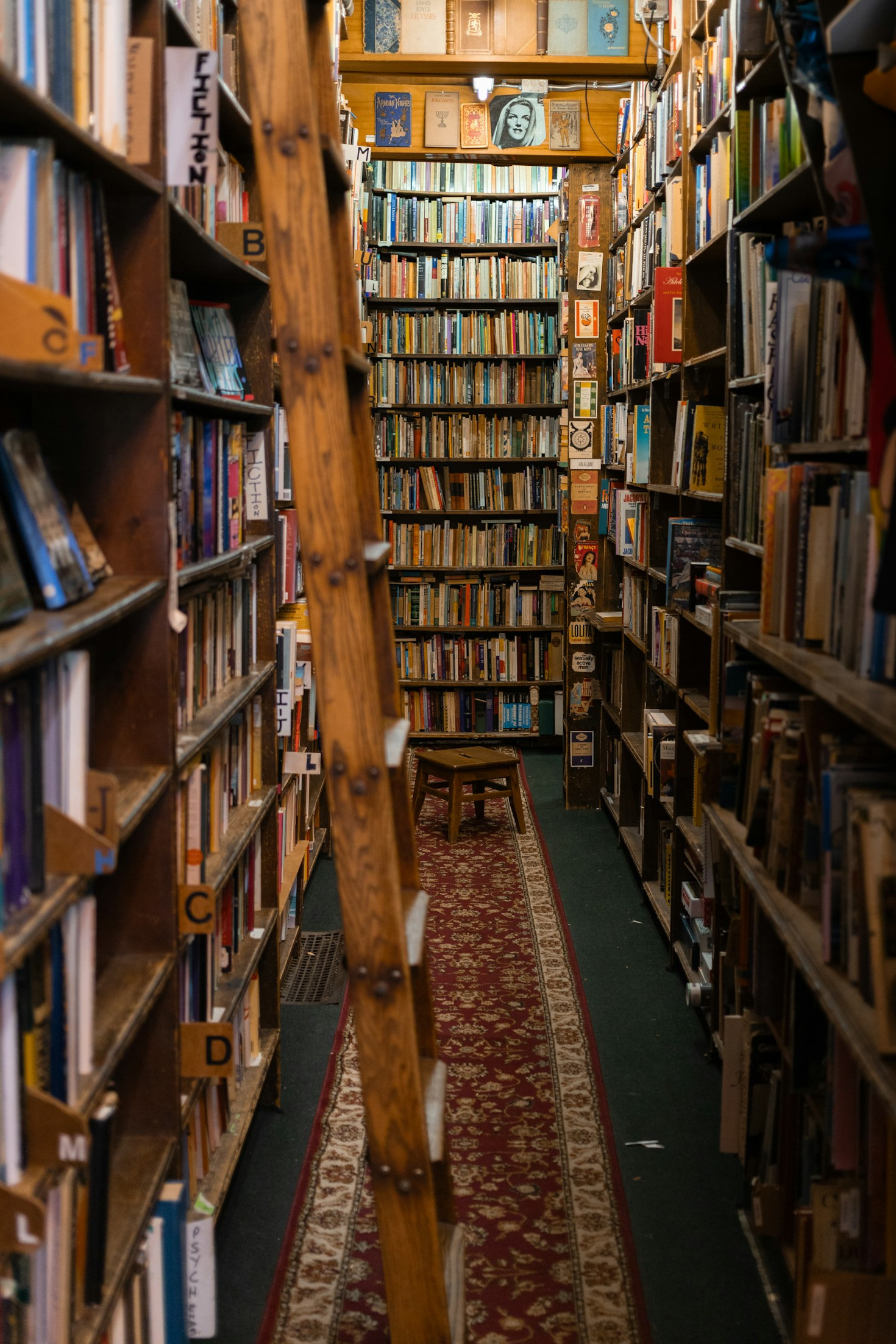 Why Reading Daily Improves Your Focus